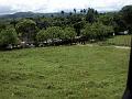 2004-04 Rep dominicaine 086